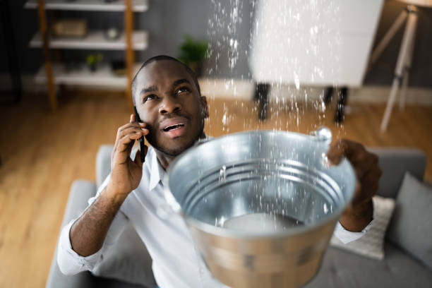 Best Water damage contractors near me  in Baldwin, GA