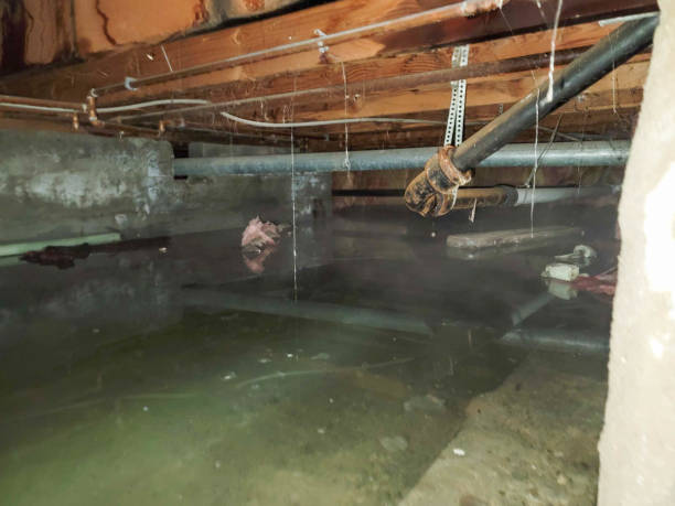 Best Flood restoration services  in Baldwin, GA