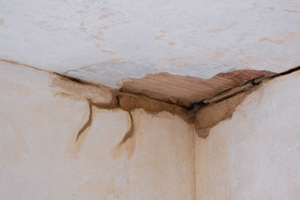 Best Water damage cleanup near me  in Baldwin, GA