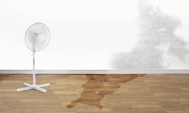 Best Local water damage restoration  in Baldwin, GA