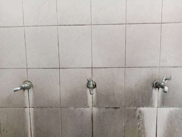 Best Carpet water damage restoration  in Baldwin, GA