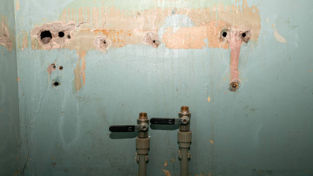 Best Carpet water damage restoration  in Baldwin, GA