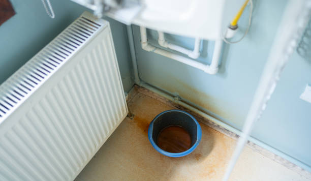 Best Local water damage restoration  in Baldwin, GA