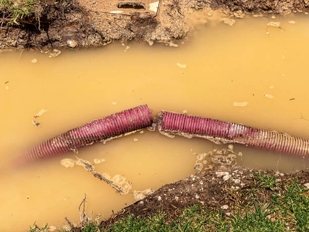 Best 24-hour water damage restoration  in Baldwin, GA