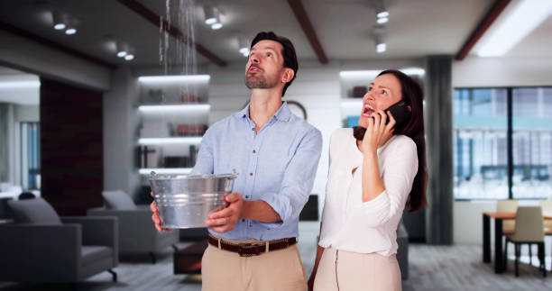 Best Basement water damage restoration  in Baldwin, GA