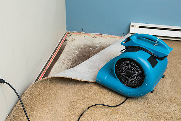 Best Local water damage restoration  in Baldwin, GA